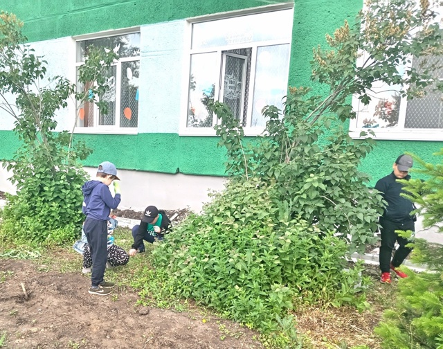 Летняя трудовая четверть.