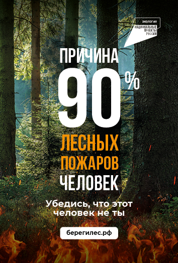 Противопожарная  кампания «Останови огонь!».